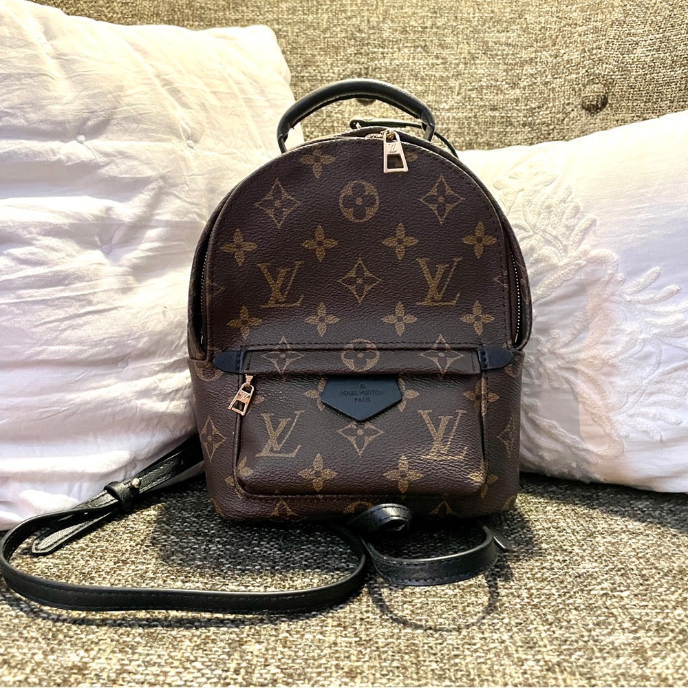 Louis Vuitton Mini Palm Springs Backpack